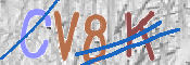 Immagine CAPTCHA