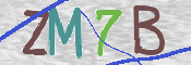 Immagine CAPTCHA